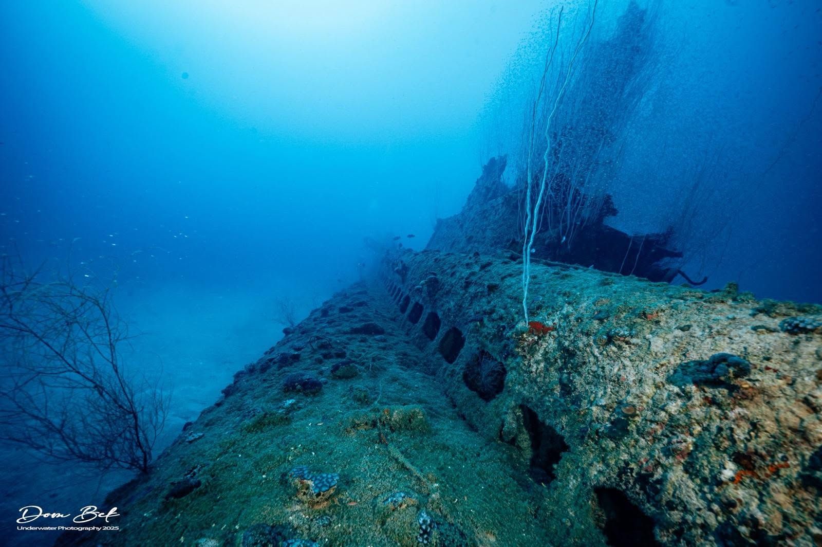 APIT-MOL